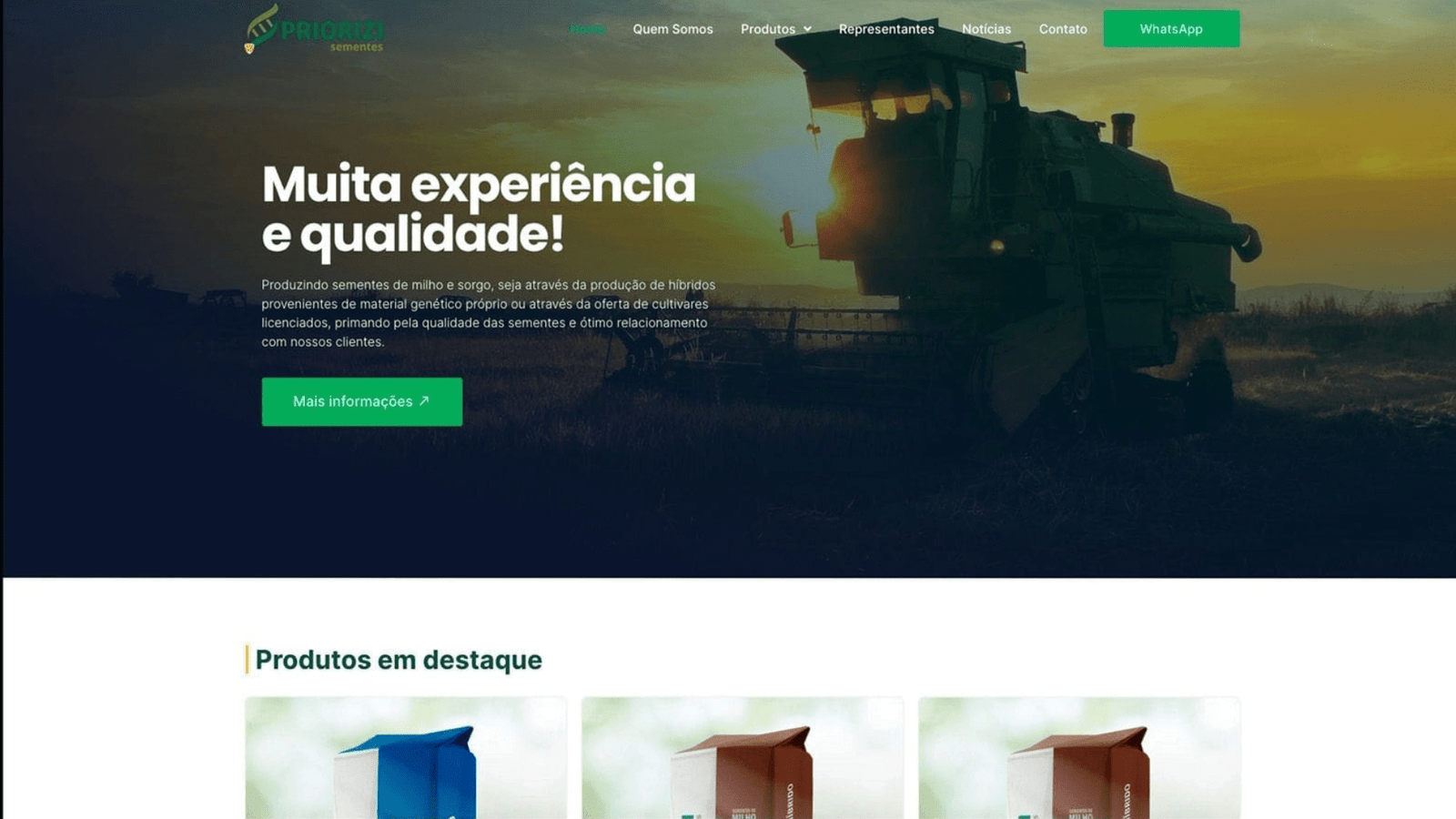 Home 9 Criação de Sites